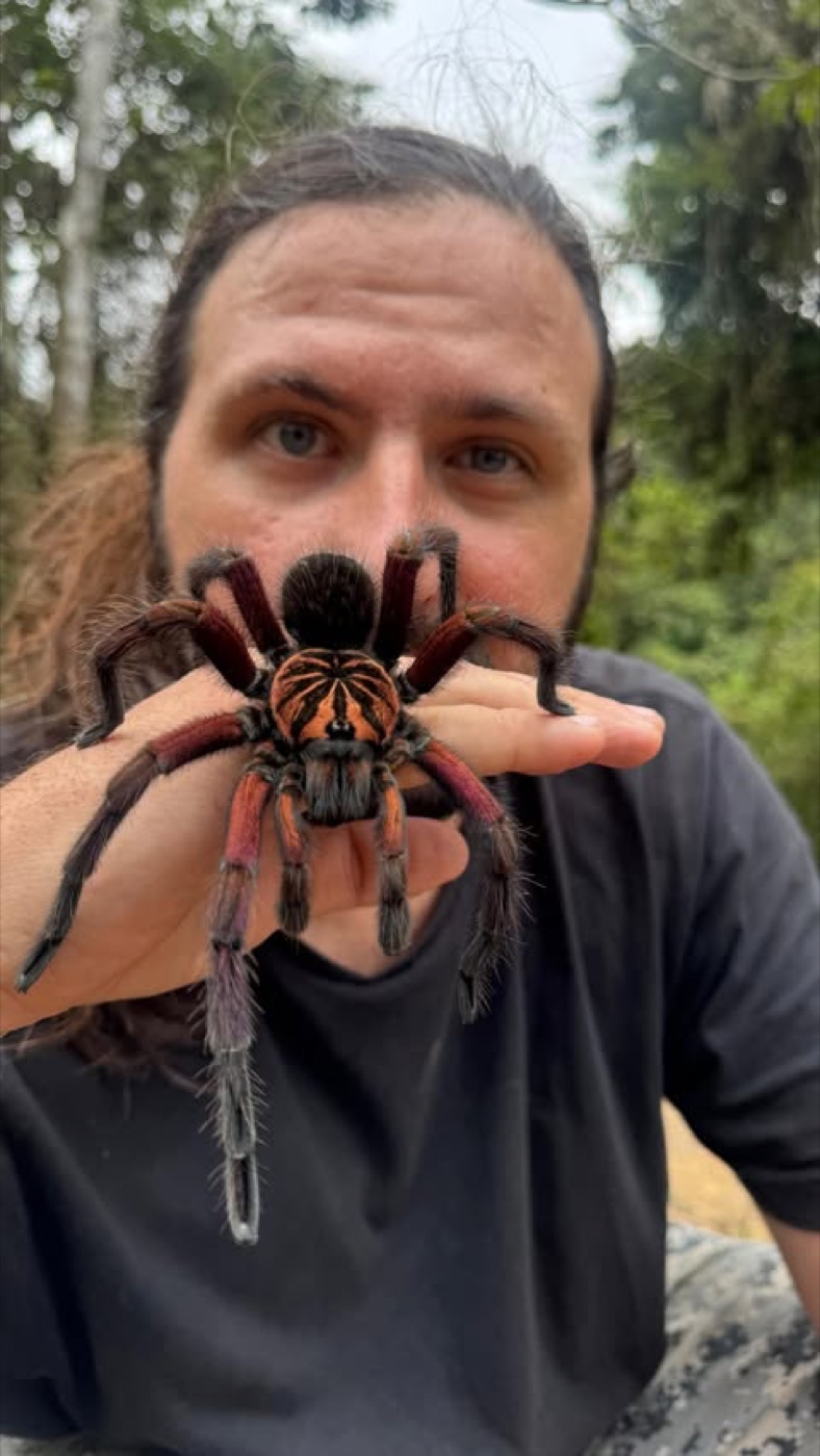 Chico segurando uma tarântula na mão, no Equador