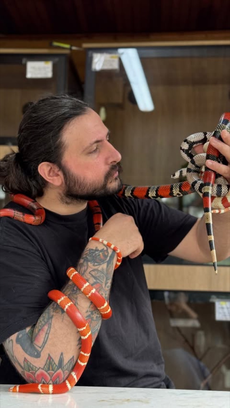 Francisco Dambo com cobras de padrão coral no pescoço e nos braços